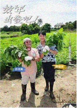 星光舞台季综艺封面